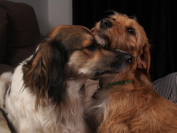 How Does the UK Real Estate Market Affect Personal Finances?